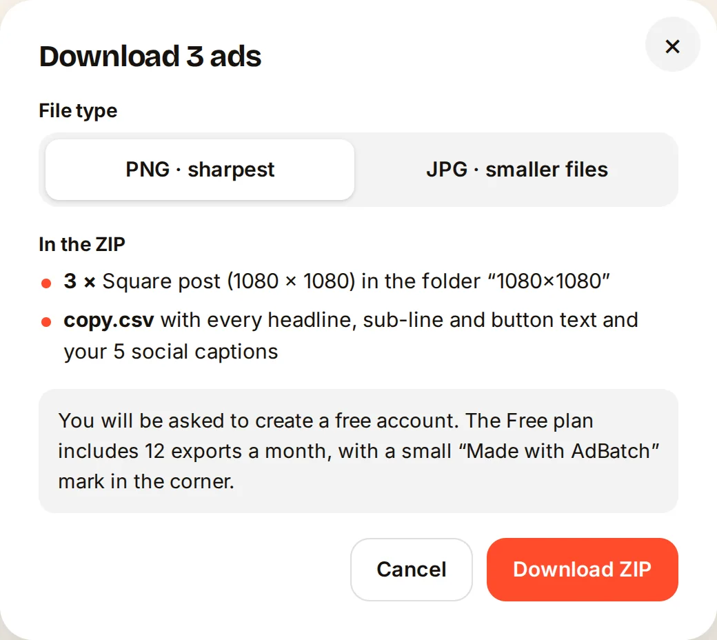 The download window in AdBatch showing the file format choice, the ZIP contents and the export allowance.