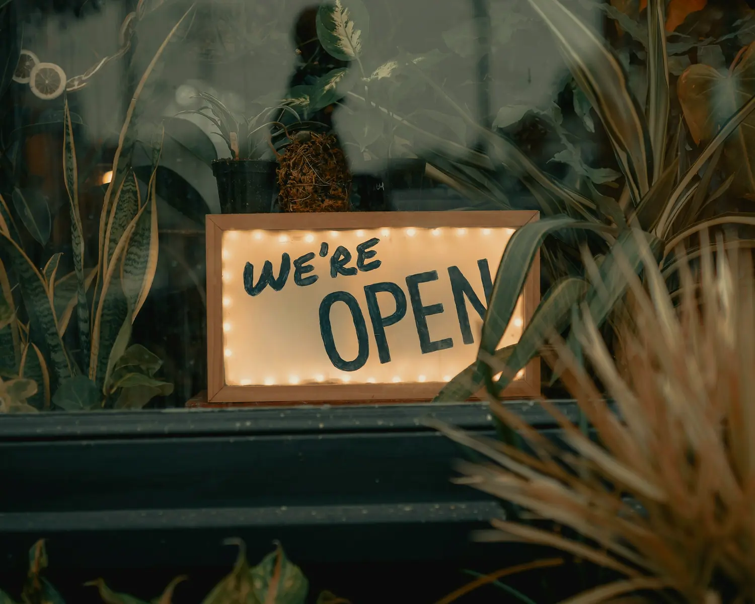A hand-lettered We’re open sign lit by small bulbs in a shop window full of plants